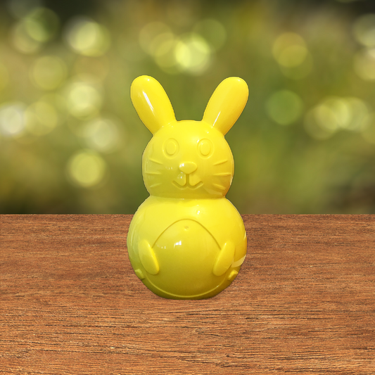 Easter Bunny Gift Box